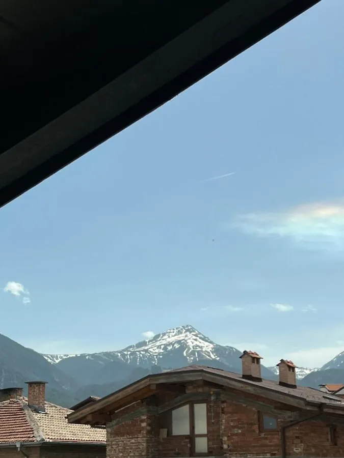 Guest house Bashtin Dom - Skabrin House Hotel Bansko